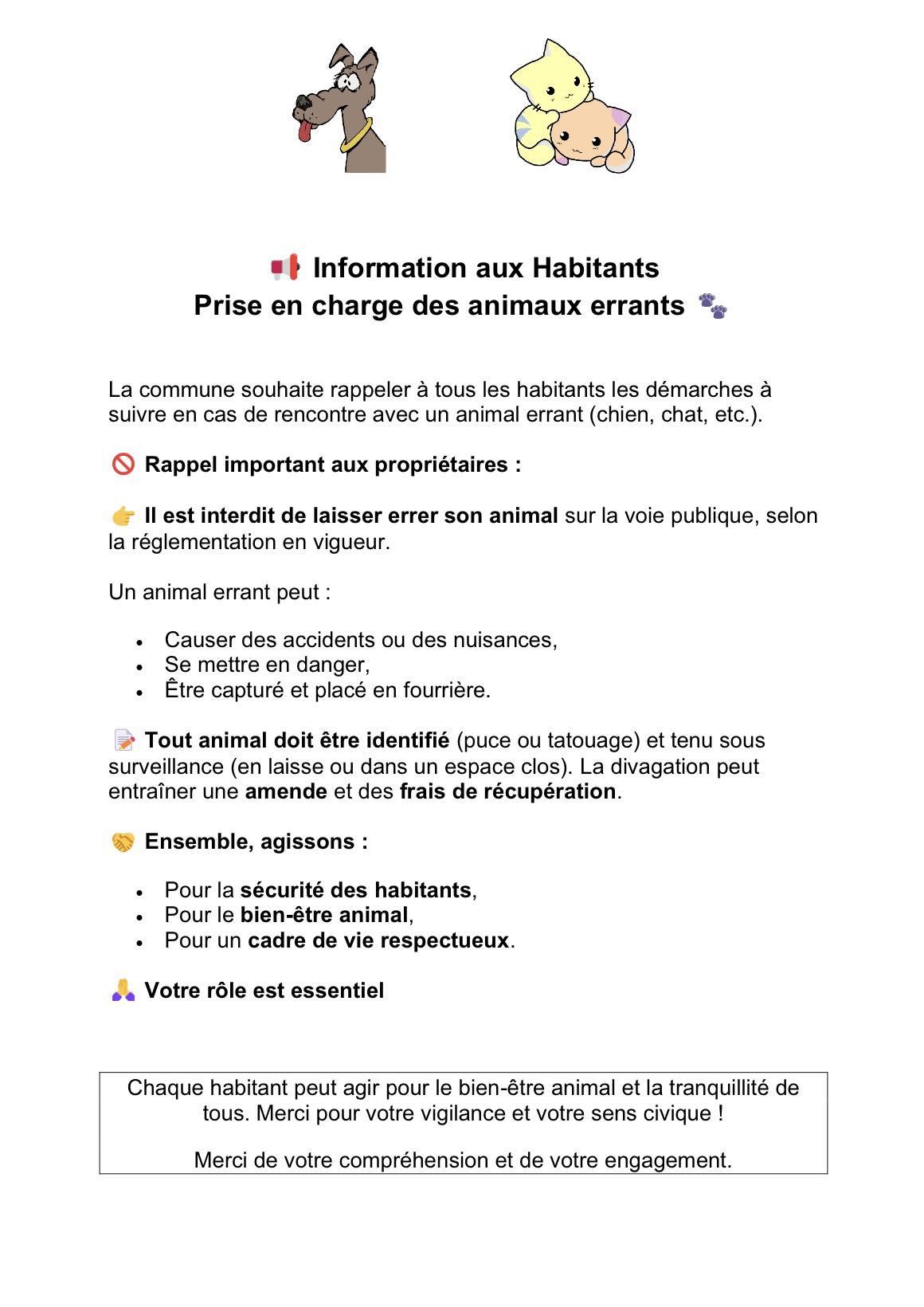 Information animaux errants