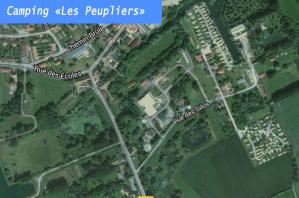 Les peupliers